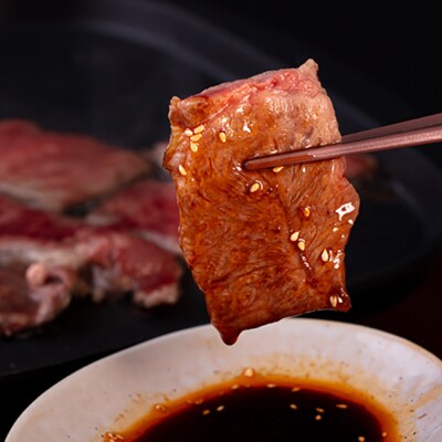 【6回定期便】焼肉3種 600g 2-3人前 肩ロース ミスジ モモ (カタ) [AGN013]