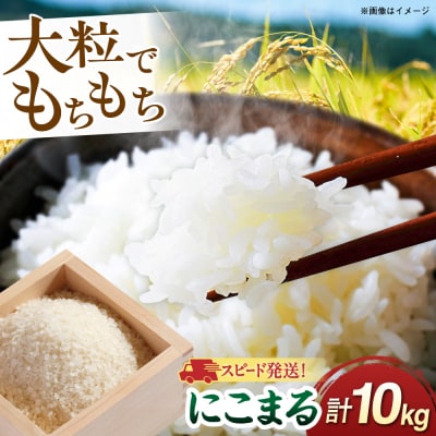 【スピード発送】令和7年産 にこまる 玄米品質1等米 白米 10kg 糸島市産[AGR002]
