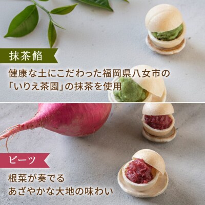 【全3回定期便】【贈答用にも】 糸モナカ 4種 8個セット/ わかまつ農園 [AHB047]