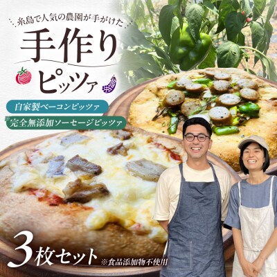 全粒粉ピッツァ 贅沢 3枚セット 糸島市 / わかまつ農園 [AHB060]
