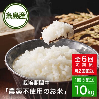【全6回(月2回)定期便】栽培期間中 農薬不使用ヒノヒカリ 10kg シーブ [AHC008]