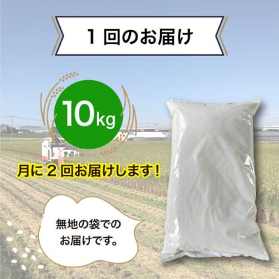 【全6回(月2回)定期便】栽培期間中 農薬不使用ヒノヒカリ 10kg シーブ [AHC008]