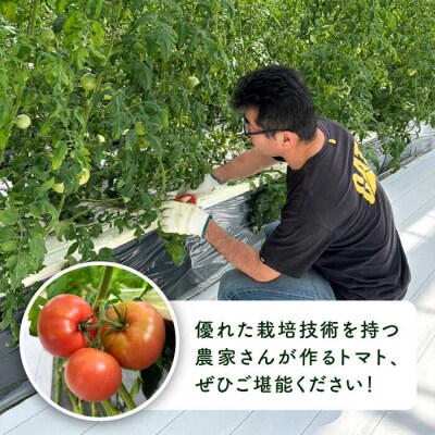 【先行受付】糸島産トマト かれん ( 4kg 28玉 前後 ) 糸島市 / シーブ [AHC019]