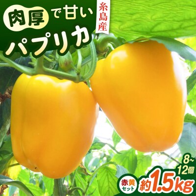 糸島産 肉厚 パプリカ 約1.5kg(8-12個) 福岡県 糸島市 / シーブ [AHC031]