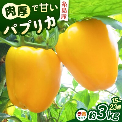 糸島産 肉厚 パプリカ 約3kg(15-23個)福岡県 糸島市 / シーブ [AHC032]