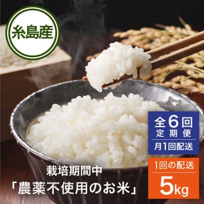 【全6回(月1回)定期便】 栽培期間中 農薬不使用のお米 ヒノヒカリ 5kg [AHC042]