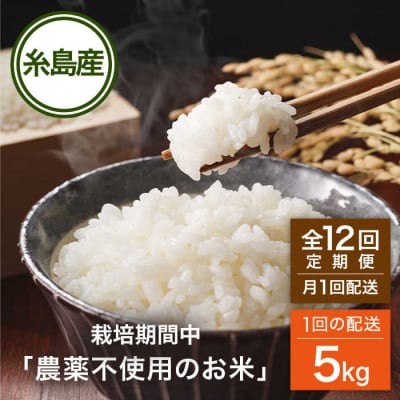 【全12回(月1回)定期便】 栽培期間中 農薬不使用のお米 ヒノヒカリ 5kg [AHC043]