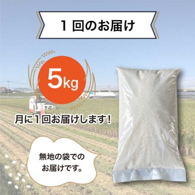 【全12回(月1回)定期便】 栽培期間中 農薬不使用のお米 ヒノヒカリ 5kg [AHC043]