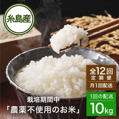 【全12回(月1回)定期便】栽培期間中 農薬不使用のお米 ヒノヒカリ 10kg [AHC046]