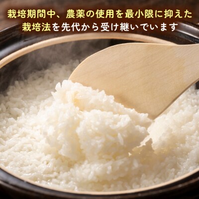 【全3回(月1)定期便】とにかくおいしいお米  10kg 糸島市 シーブ [AHC050]