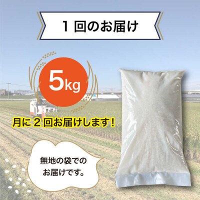 【全12回(月2回)定期便】栽培期間中農薬不使用のお米 ヒノヒカリ 5kg 糸島市[AHC058]