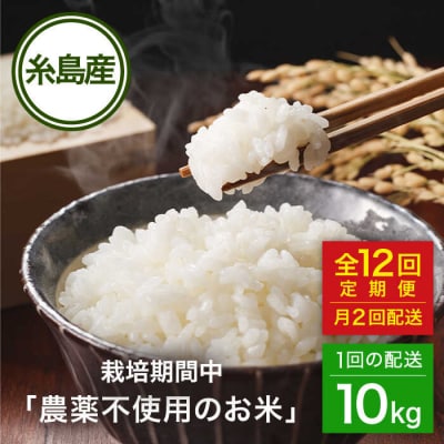 【全12回(月2回)定期便】栽培期間中農薬不使用のお米 ヒノヒカリ 10kg 糸島市[AHC059]
