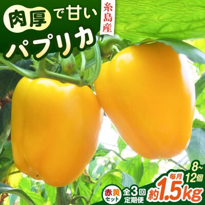 【全3回定期便】肉厚 パプリカ 約1.5kg(8-12個) 福岡県 糸島市/シーブ [AHC063]