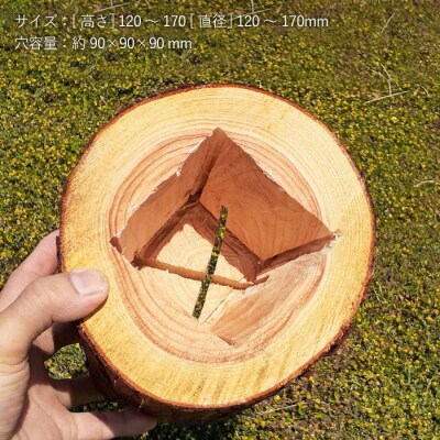 《森の花束》 ソロ(ドライフラワー入りポットの単品)【木工房 moqu c0mo】[AHF002]
