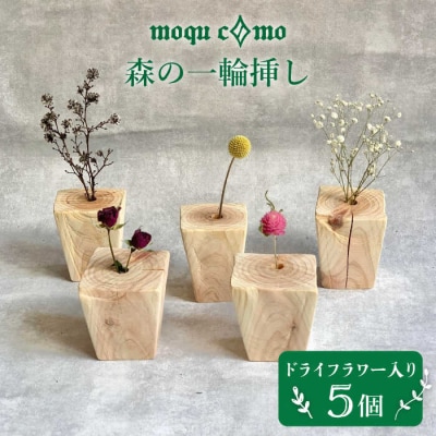 《 森の一輪挿し 》 クインテット (ドライフラワー入り 5個セット)  [AHF004]