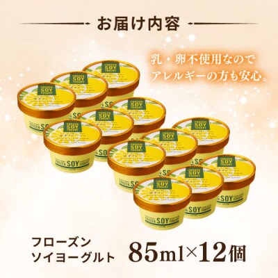 【乳・卵不使用】豆腐屋のフローズンソイヨーグルト ゆず風味 12個/ 高取食品[AHG012]
