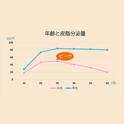 【全12回定期便】 オールインワン オイル イン セラム【株式会社Yu-ki】[AHJ010]