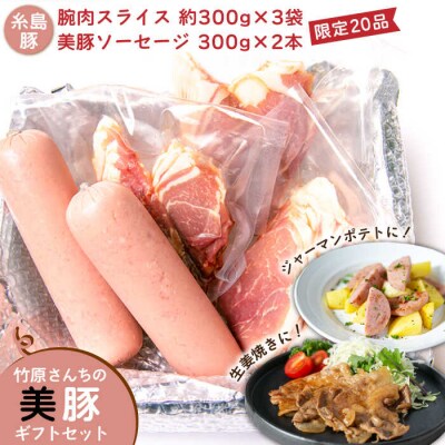 【限定20品!】竹原さんちの美豚ギフトセットA(ソーセージ+腕スライス)[AHK001]