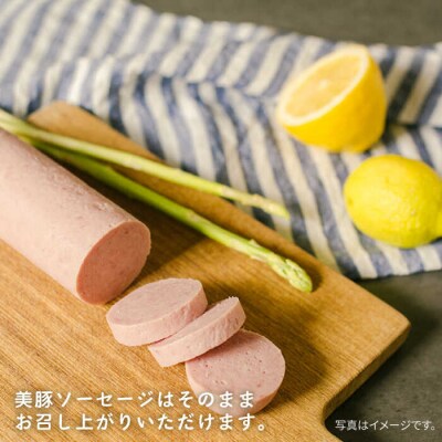 【限定20品!】竹原さんちの美豚ギフトセットA(ソーセージ+腕スライス)[AHK001]