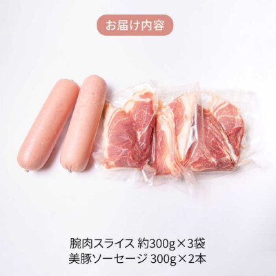 【限定20品!】竹原さんちの美豚ギフトセットA(ソーセージ+腕スライス)[AHK001]