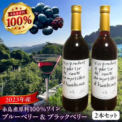 2023年産 糸島産ブルーベリー・ブラックベリーワイン 720ml×2種セット[AHM002]