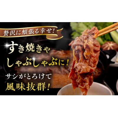 博多和牛 肩ロース うす切り 1kg すき焼きのタレ付 糸島市 / ヒサダヤフーズ[AIA039]
