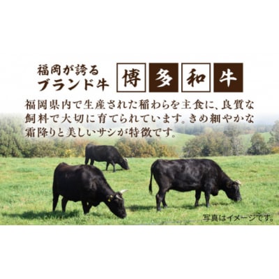 博多和牛 ヒレステーキ 800g (100g×8枚) 糸島市 / ヒサダヤフーズ[AIA044]