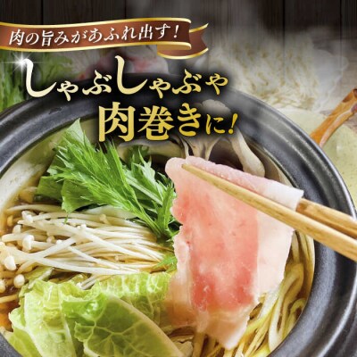 糸島豚 ロース うす切り 1.2kg 糸島市/ヒサダヤフーズ 豚 豚肉 [AIA067]