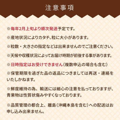糸島産【春】 あまおう 6パック 【南国フルーツ株式会社】 [AIK009]