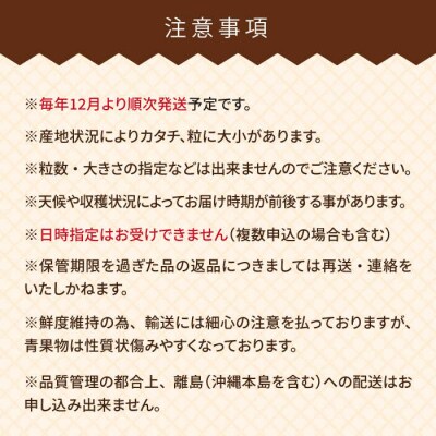 【全2回定期便】糸島産【冬】あまおう2パック 毎月計500g /南国フルーツ株式会社[AIK025]