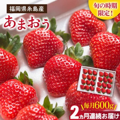 【2回定期便】糸島産あまおう 毎月600g(24-30粒)[AIK028]