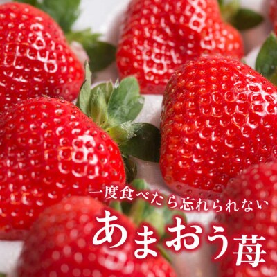 【2回定期便】糸島産あまおう 毎月600g(24-30粒)[AIK028]