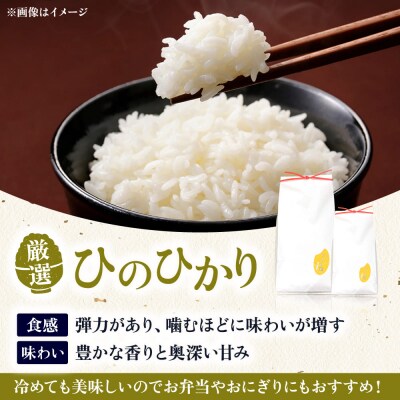 いとし米 厳選ひのひかり5kg (糸島産) 糸島/三島商店 [AIM019]