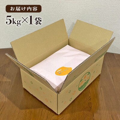 いとし米 厳選ひのひかり5kg (糸島産) 糸島/三島商店 [AIM019]