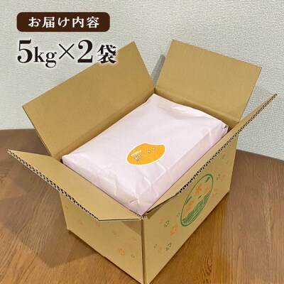 糸島産 いとし米 厳選ひのひかり10kg 糸島市/三島商店 [AIM045]