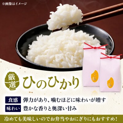 いとし米 厳選ひのひかり 2kg (糸島産) 糸島市/三島商店 [AIM063]