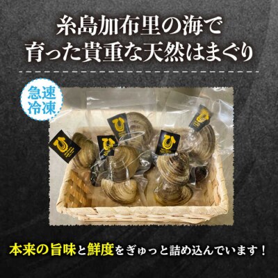 糸島産 天然 はまぐり 10個 (2個×5P) 糸島市 / ひろちゃんカキ[AJA017]
