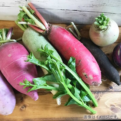 【全6回定期便】旬を味わう 糸島 野菜 セット 10～14種 (14パック) [AJB002]