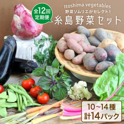 【全12回定期便】旬を味わう 糸島 野菜 セット 10～14種 (14パック) [AJB003]