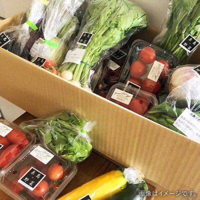 【全3回定期便】糸島 野菜 セット 10～14種 (14パック) /vegeLabo[AJB004]