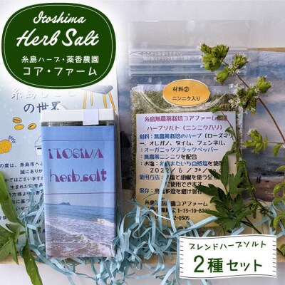 オリジナルハーブソルト 2点セット/糸島ハーブ・薬香農園 コア・ファーム [AJC004]
