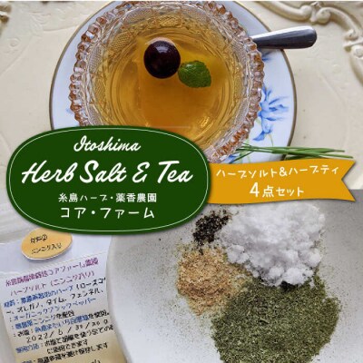 オリジナルハーブソルト&ハーブティー4点セット/ 糸島ハーブ・薬香農園コア・ファーム[AJC005]