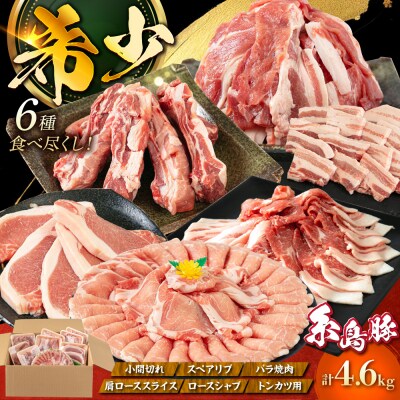 合計4.6kg!糸島豚 食べ尽くしセット 糸島/トラヤミートセンター [AJD005]