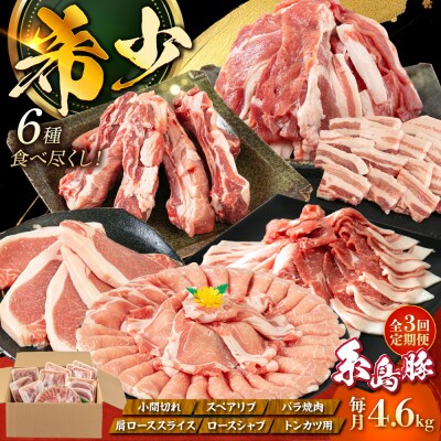 【全3回定期便】4.6kg!糸島豚食べ尽くしセット糸島市/トラヤミートセンター[AJD023]