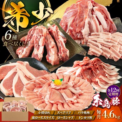 【全12回定期便】4.6kg!糸島豚食べ尽くしセット糸島市/トラヤミートセンター[AJD024]