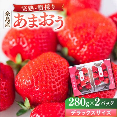糸島産 完熟あまおう 280g×2パック (デラックスサイズ) 糸島市 / 小河農園[AJN001]