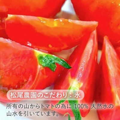 樹上でポーッと熟れた 甘～い トマト 約2kg 《糸島》【松尾農園】 [AKI001]