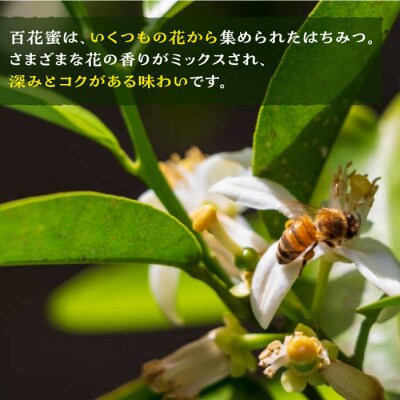福岡 糸島産 生はちみつ (夏の百花蜜 450g) 糸島市/糸島二丈サクランボ農園 [AKJ002]
