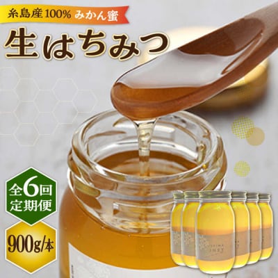 【全6回定期便】糸島産採れたて生はちみつ(みかん蜜900g)糸島二丈サクランボ農園[AKJ012]