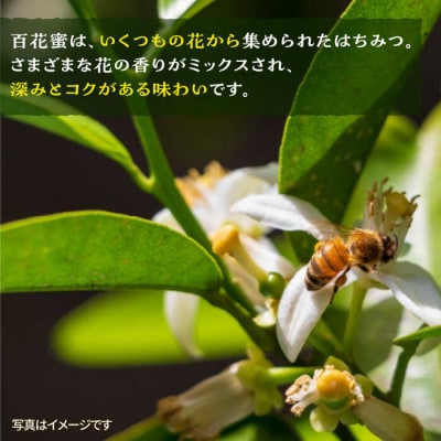 【全6回定期便】糸島産採れたて生はちみつ(夏の百花蜜900g)糸島二丈サクランボ農園[AKJ015]